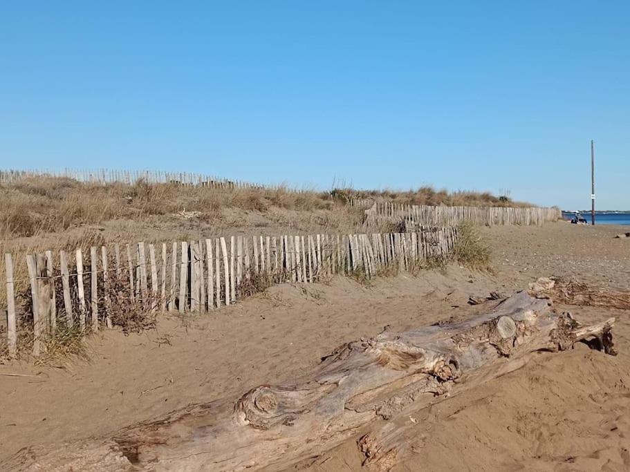 Studio Au Cap D'Agde Dans Les Pinedes Exterior photo
